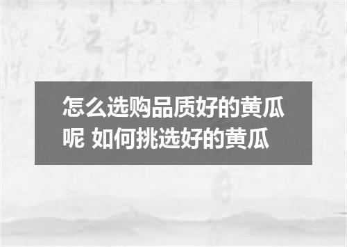 怎么选购品质好的黄瓜呢 如何挑选好的黄瓜