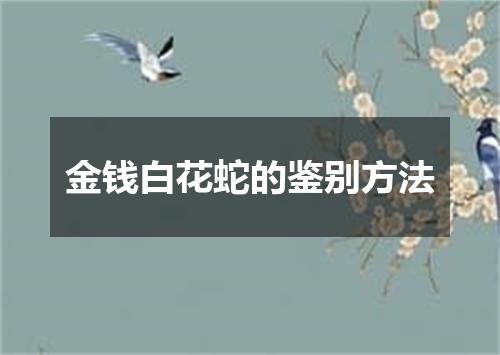 金钱白花蛇的鉴别方法