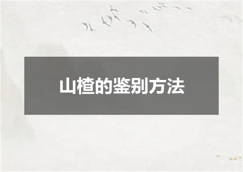 山楂的鉴别方法