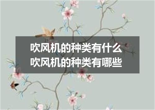 吹风机的种类有什么 吹风机的种类有哪些