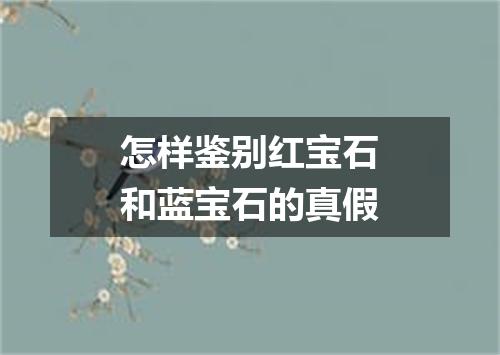 怎样鉴别红宝石和蓝宝石的真假