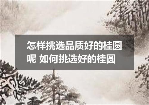 怎样挑选品质好的桂圆呢 如何挑选好的桂圆