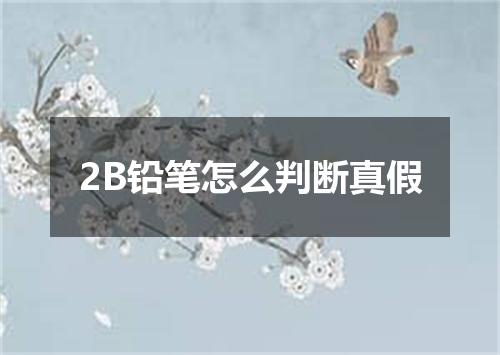 2B铅笔怎么判断真假