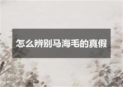 怎么辨别马海毛的真假