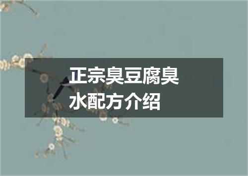 正宗臭豆腐臭水配方介绍