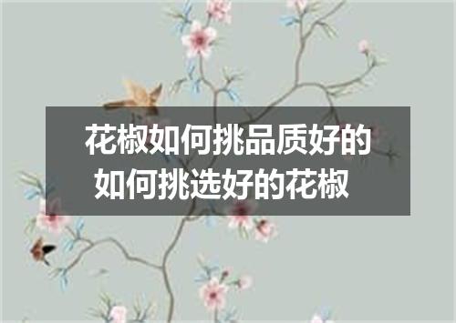 花椒如何挑品质好的 如何挑选好的花椒