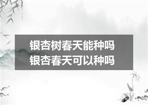 银杏树春天能种吗 银杏春天可以种吗