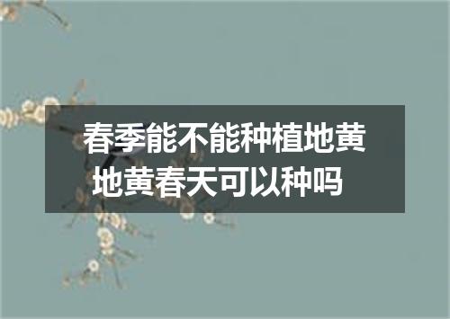 春季能不能种植地黄 地黄春天可以种吗