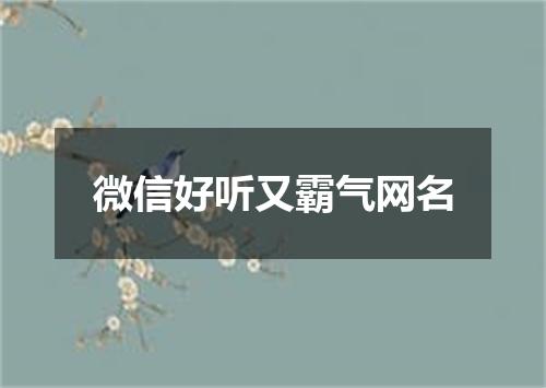微信好听又霸气网名