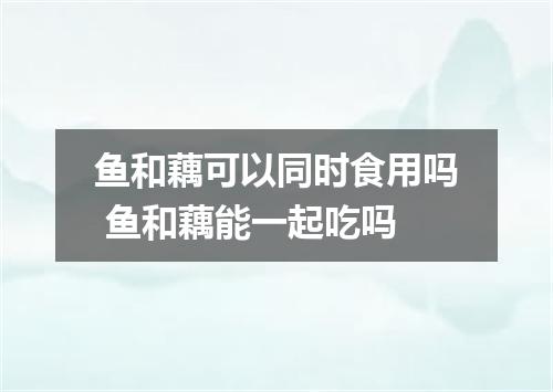 鱼和藕可以同时食用吗 鱼和藕能一起吃吗