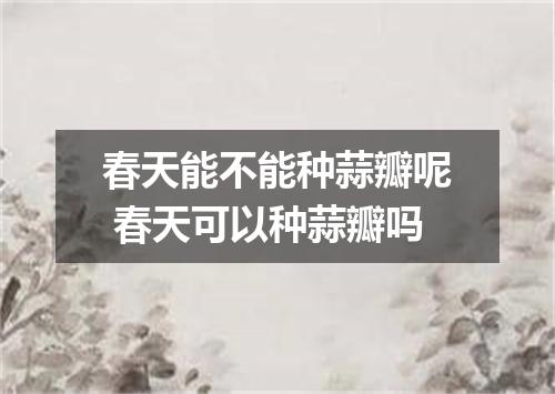 春天能不能种蒜瓣呢 春天可以种蒜瓣吗