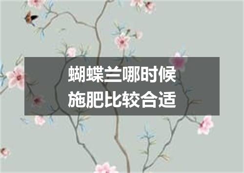 蝴蝶兰哪时候施肥比较合适
