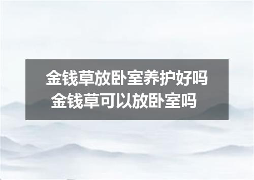 金钱草放卧室养护好吗 金钱草可以放卧室吗