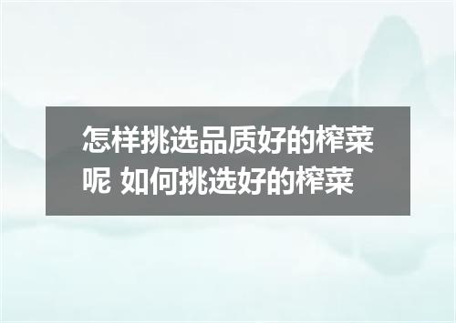 怎样挑选品质好的榨菜呢 如何挑选好的榨菜