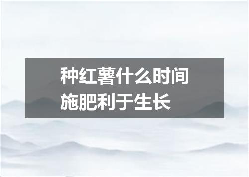 种红薯什么时间施肥利于生长