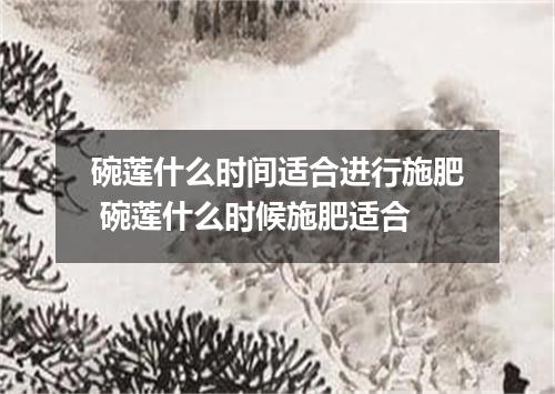 碗莲什么时间适合进行施肥 碗莲什么时候施肥适合