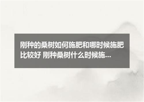 刚种的桑树如何施肥和哪时候施肥比较好 刚种桑树什么时候施肥