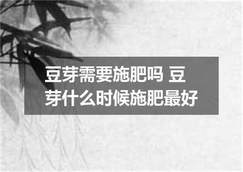 豆芽需要施肥吗 豆芽什么时候施肥最好