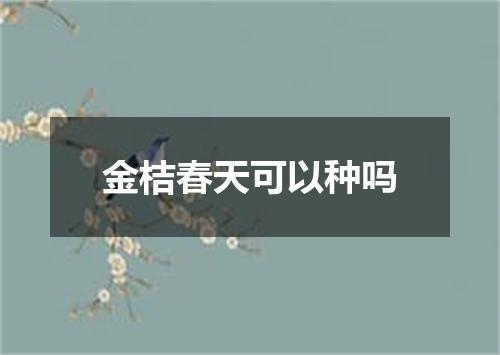 金桔春天可以种吗