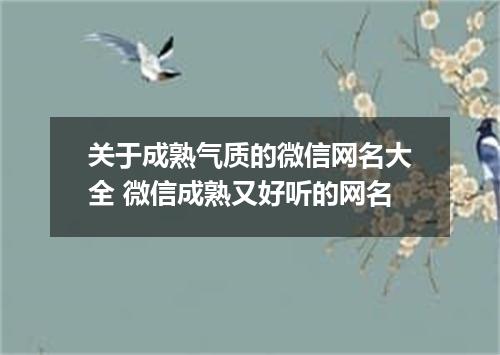 关于成熟气质的微信网名大全 微信成熟又好听的网名