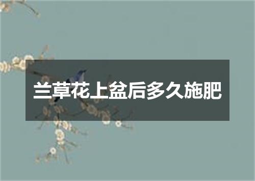 兰草花上盆后多久施肥