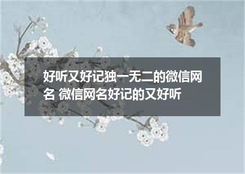 好听又好记独一无二的微信网名 微信网名好记的又好听