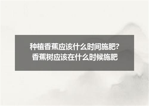 种植香蕉应该什么时间施肥? 香蕉树应该在什么时候施肥
