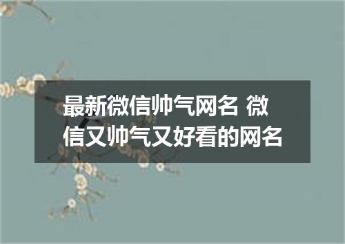 最新微信帅气网名 微信又帅气又好看的网名