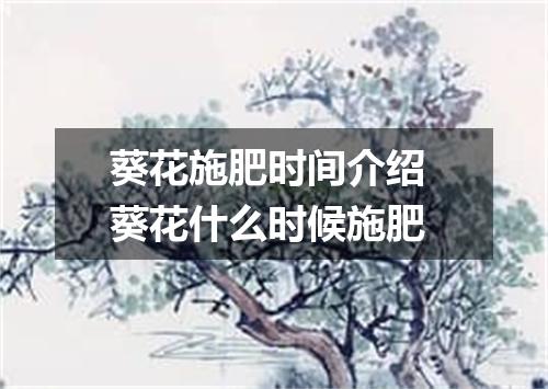 葵花施肥时间介绍 葵花什么时候施肥