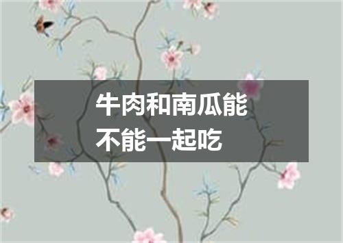 牛肉和南瓜能不能一起吃