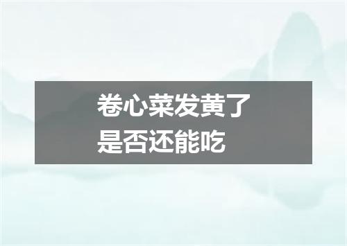 卷心菜发黄了是否还能吃