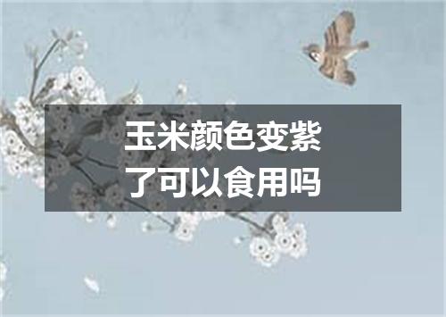 玉米颜色变紫了可以食用吗