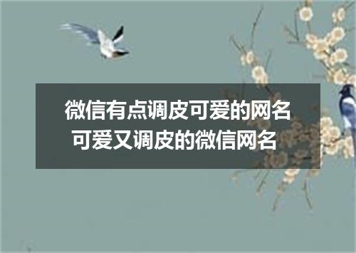 微信有点调皮可爱的网名 可爱又调皮的微信网名