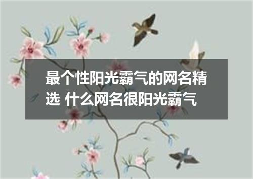 最个性阳光霸气的网名精选 什么网名很阳光霸气