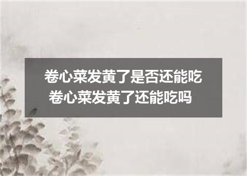 卷心菜发黄了是否还能吃 卷心菜发黄了还能吃吗