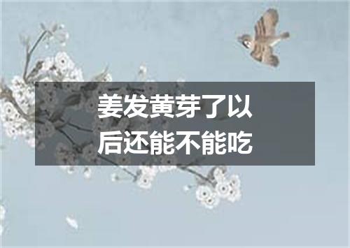 姜发黄芽了以后还能不能吃