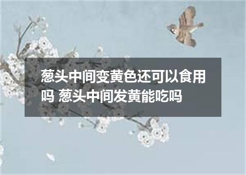 葱头中间变黄色还可以食用吗 葱头中间发黄能吃吗
