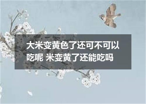 大米变黄色了还可不可以吃呢 米变黄了还能吃吗