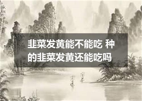 韭菜发黄能不能吃 种的韭菜发黄还能吃吗