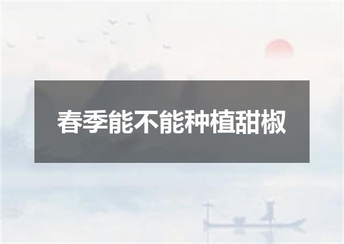 春季能不能种植甜椒