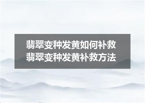 翡翠变种发黄如何补救 翡翠变种发黄补救方法