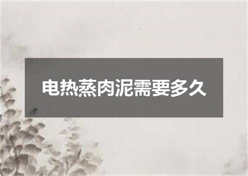 电热蒸肉泥需要多久