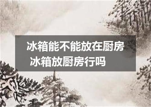 冰箱能不能放在厨房 冰箱放厨房行吗