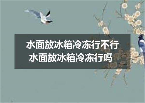 水面放冰箱冷冻行不行 水面放冰箱冷冻行吗