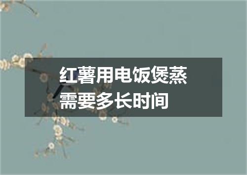 红薯用电饭煲蒸需要多长时间