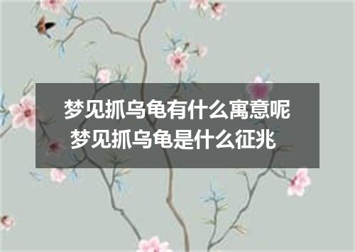 梦见抓乌龟有什么寓意呢 梦见抓乌龟是什么征兆