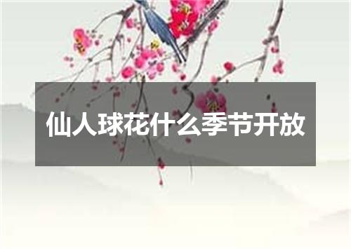 仙人球花什么季节开放