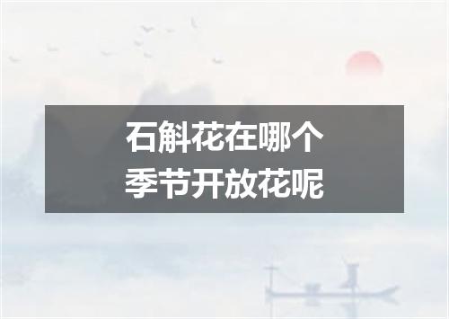 石斛花在哪个季节开放花呢