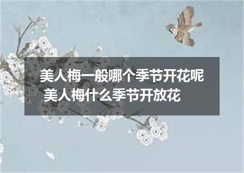 美人梅一般哪个季节开花呢 美人梅什么季节开放花