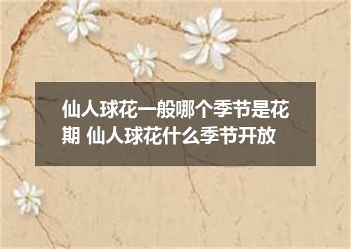 仙人球花一般哪个季节是花期 仙人球花什么季节开放